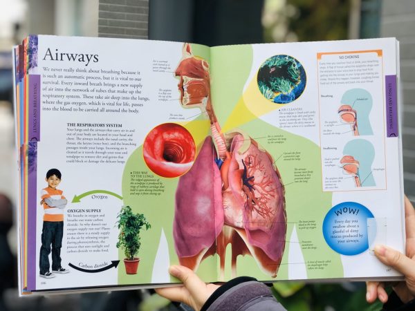 Human Body A Children’s Encyclopedia