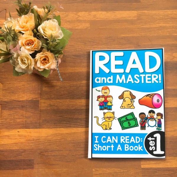 Read and master