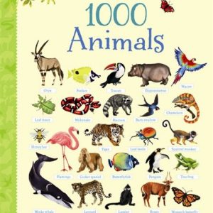Big book of animals