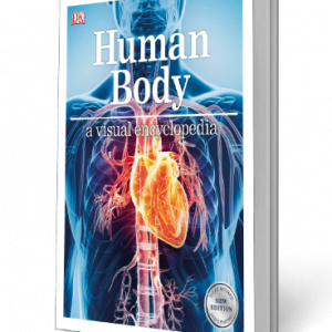 Human Body A Children’s Encyclopedia