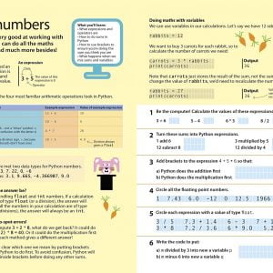 Computer Coding Made Easy - Beginner Level