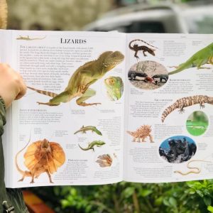 Childrens Illustrated Encyclopedia