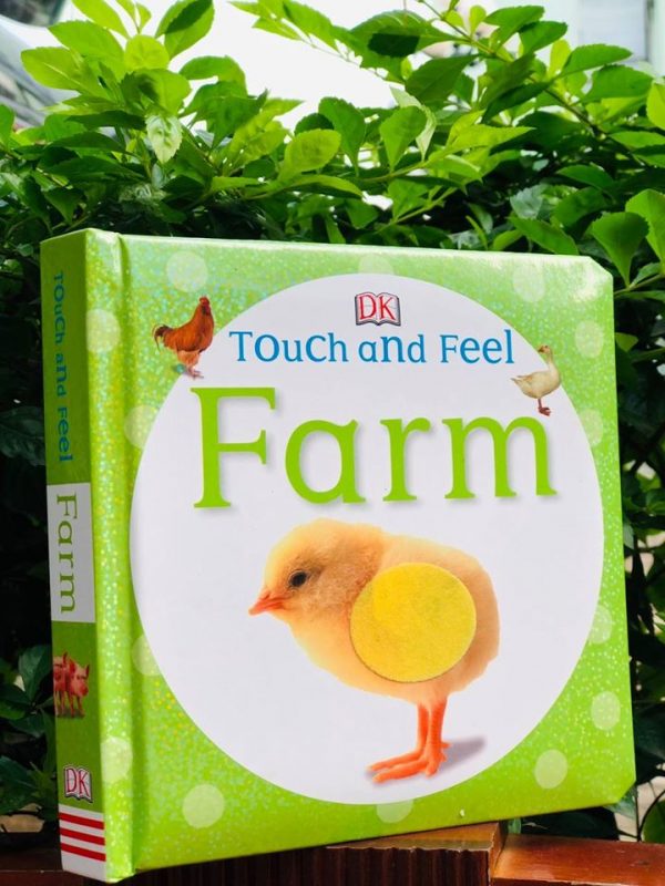 Touch and Feel Farm