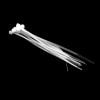Nylon Cable Tie 1.9x100(10 in Pack)