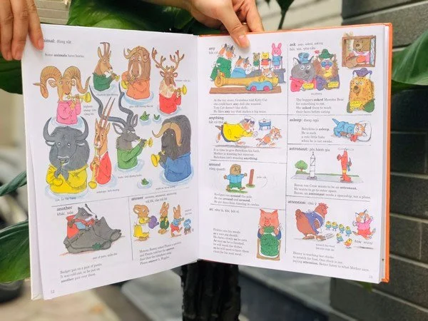 896a09f7f7970ec95786_-_copy_d1117f6913a84c759fea5f967f22e09f_grande