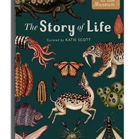 The Story of Life Evolution