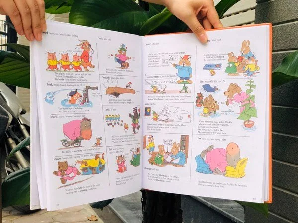 ab82b7004960b03ee971_7d75ea4c71e84908a725af1287f3a934_grande