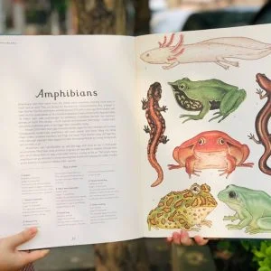 COMBO ANIMALIUM, PLANETARIUM