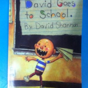 David go to school