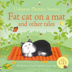 Fat cat on a mat