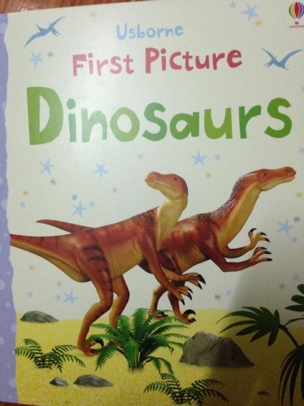 FIRST PICTURE DINOSAURS