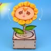 Hoa hướng dương - đồ chơi STEM - đồ chơi khoa học - đồ chơi DIY