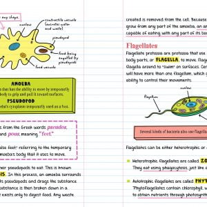 Everything You Need to Ace Biology in One Big Fat Notebook (THCS- THPT)