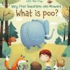 What is poo?