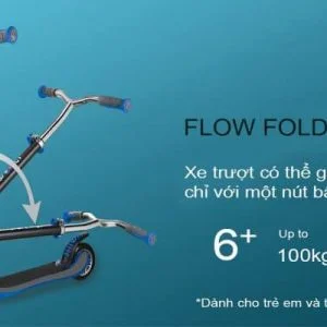 Xe trượt scooter 2 bánh